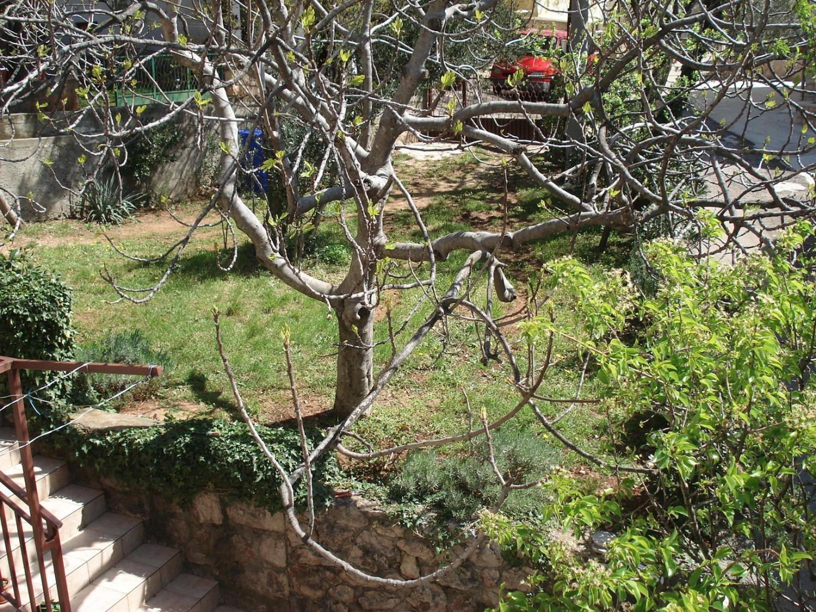 Apartments Mia Starigrad Paklenica Exterior photo